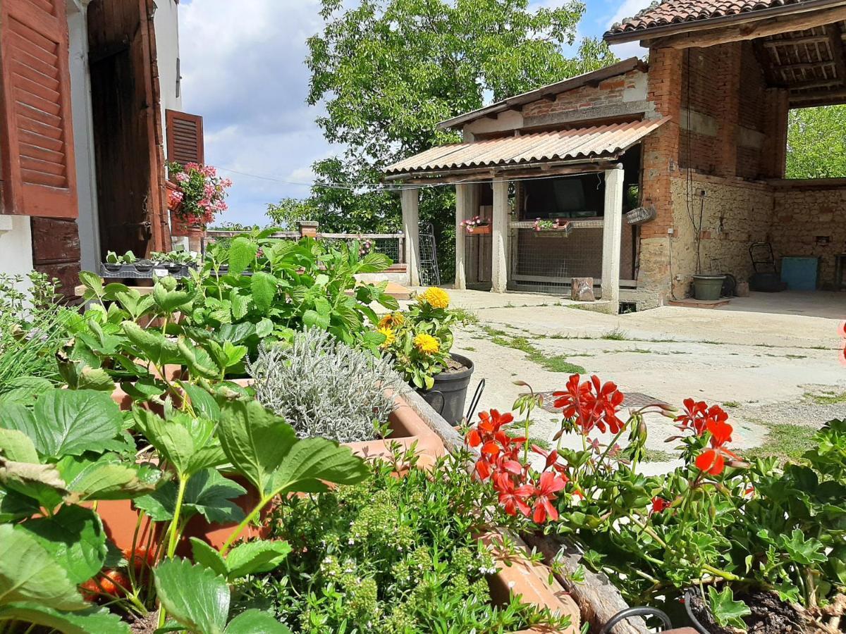 Cascina Teresina Monferrato Piscina Villa Cortazzone Exterior photo